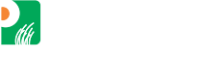 Pinnacle Forex & Securities Pvt. Ltd.